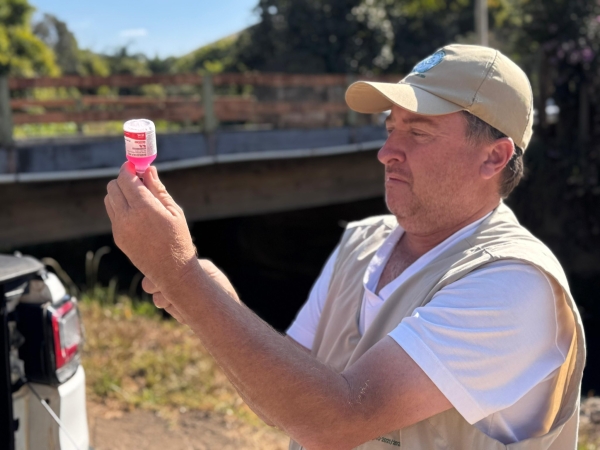 VACINA&Ccedil;&Atilde;O ANTIRR&Aacute;BICA &Eacute; INTENSIFICADA EM DOM SILV&Eacute;RIO PARA PROTEGER C&Atilde;ES, GATOS E A POPULA&Ccedil;&Atilde;O