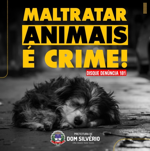 MALTRATAR ANIMAIS É CRIME. DENUNCIE!
