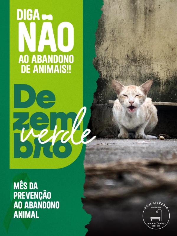 DEZEMBRO VERDE: DOM SILV&Eacute;RIO DIZ N&Atilde;O AO ABANDONO DE ANIMAIS