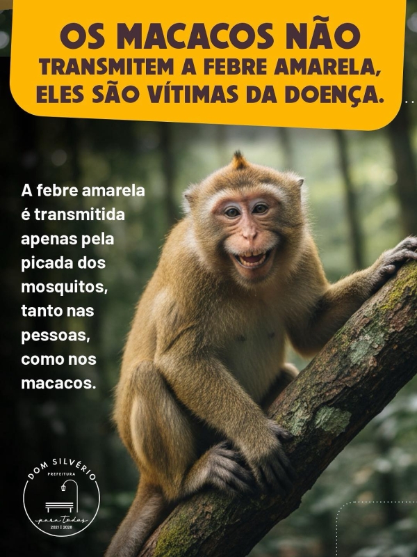 NOTIFIQUE A SECRETARIA DE SA&Uacute;DE CASO ENCONTRE MACACOS MORTOS