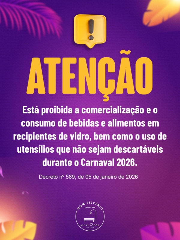 ATEN&Ccedil;&Atilde;O, FOLI&Otilde;ES! REGRAS DE SEGURAN&Ccedil;A PARA O CARNAVAL 2026 EM DOM SILV&Eacute;RIO