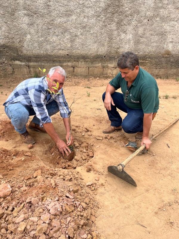 DIA DA &Aacute;RVORE &Eacute; CELEBRADO COM PLANTIO DE MUDAS NATIVAS EM DOM SILV&Eacute;RIO.